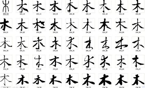 木字部首的字繁體